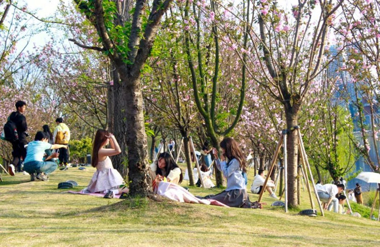 闲暇时间，市民在兴隆湖畔露营。天府新区融媒体中心供图