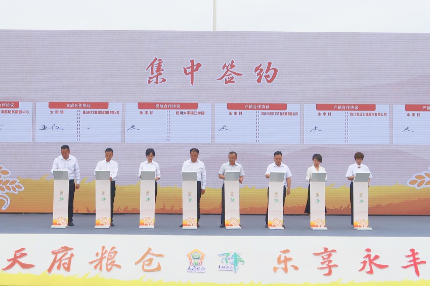 签约仪式。实习生 舒鑫摄