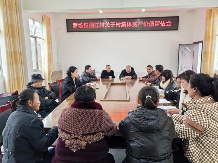 村集体资产价值评估会。刘珍供图