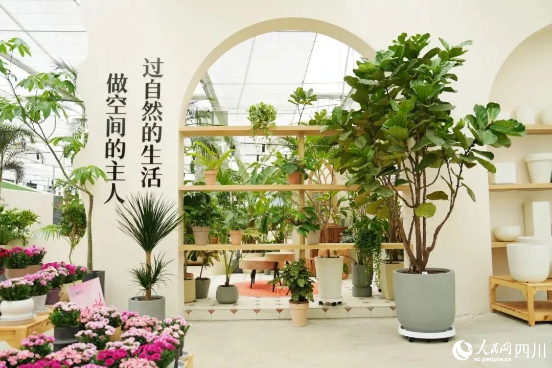 花卉藝術園。張志強攝