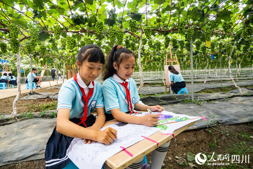 6月13日，眉山市彭山区实验小学学生前往当地的葡萄种植基地开展劳动教育社会实践活动，学生们在大棚下描绘葡萄丰收景象。翁光建摄