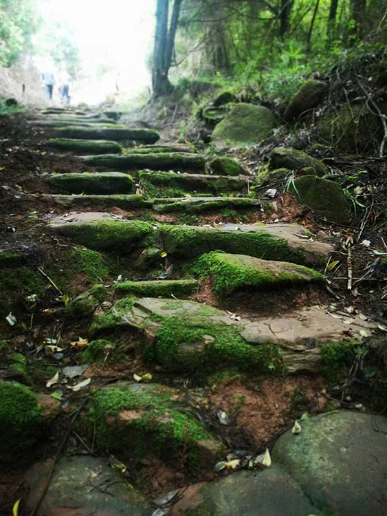 隐于山林的利阆道。张文良供图