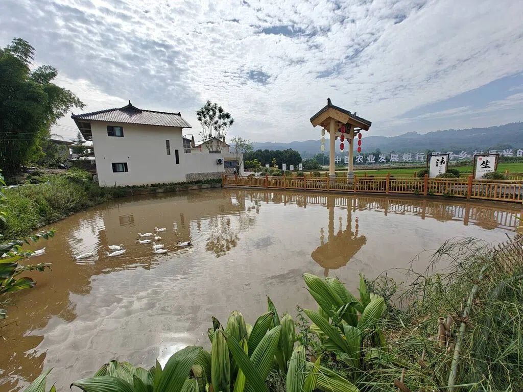 一尺丘山陶式生活体验园。王翔鹰摄