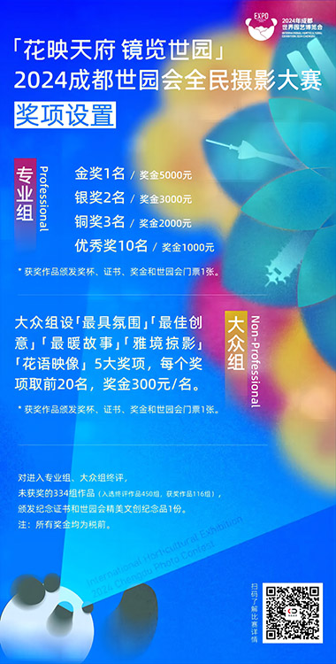 宣传海报。主办方供图