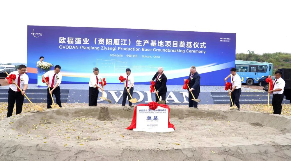 仪式现场。资阳市雁江区委宣传部供图