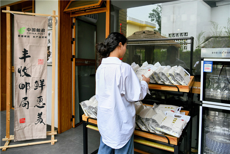 客户在丰收邮局展位挑选当地特色大米。四川省邮政公司供图