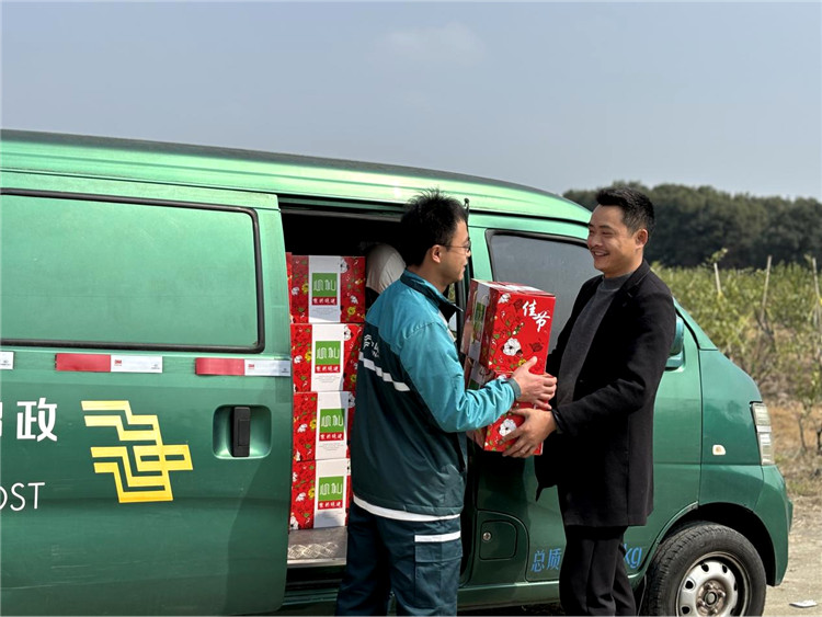 邮车开进果园收寄，避免了多次转运造成蔬菜瓜果受损，影响客户体验。四川省邮政公司供图