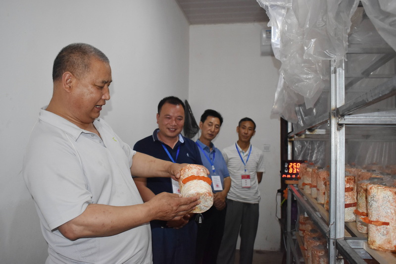 图为万源市河口镇人大代表现场参观学习红栓菌栽培技术。牟丽檠摄
