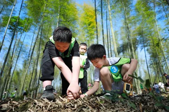 孩子们体验挖竹笋。蜀南文旅集团供图