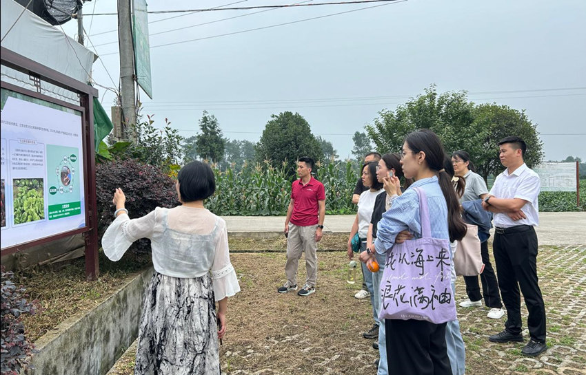 在高岗村实地调研。受访者供图