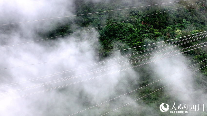 導線穿行雲霧間。劉湘釩攝