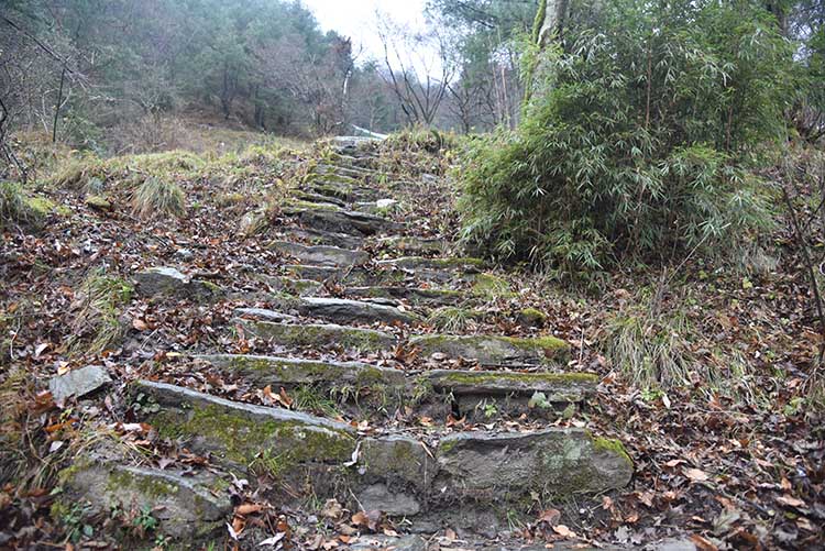 裹氈亭段碥道。 青川縣文物管理所（縣博物館）供圖