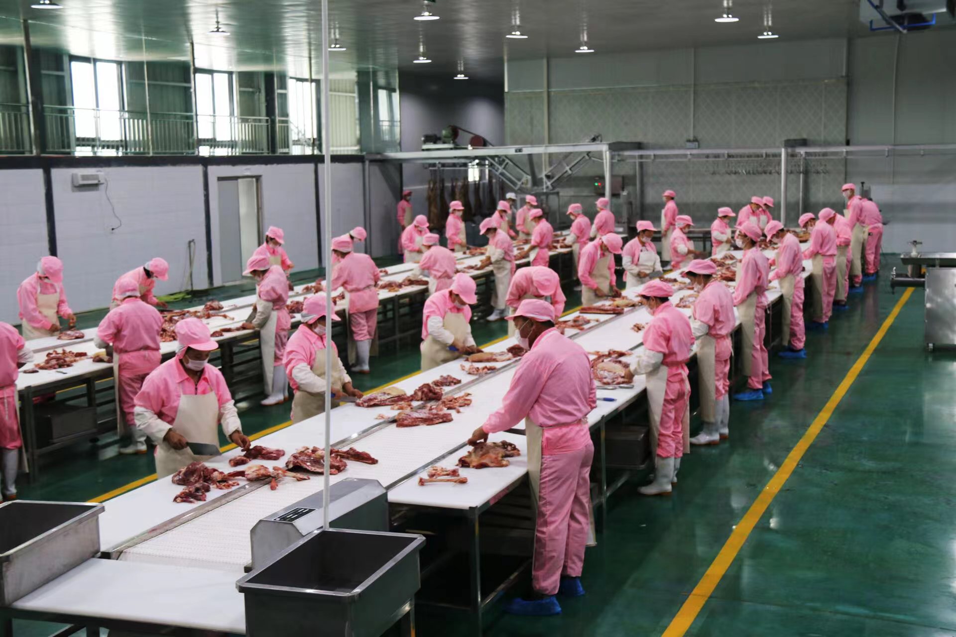 黄羊专用屠宰厂。南江县委宣传部供图