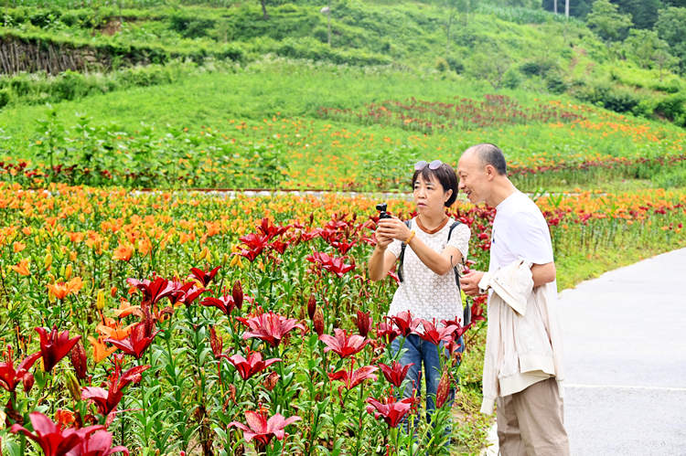 游客在吊滩河生态农业观光园赏花拍照。刘旭摄