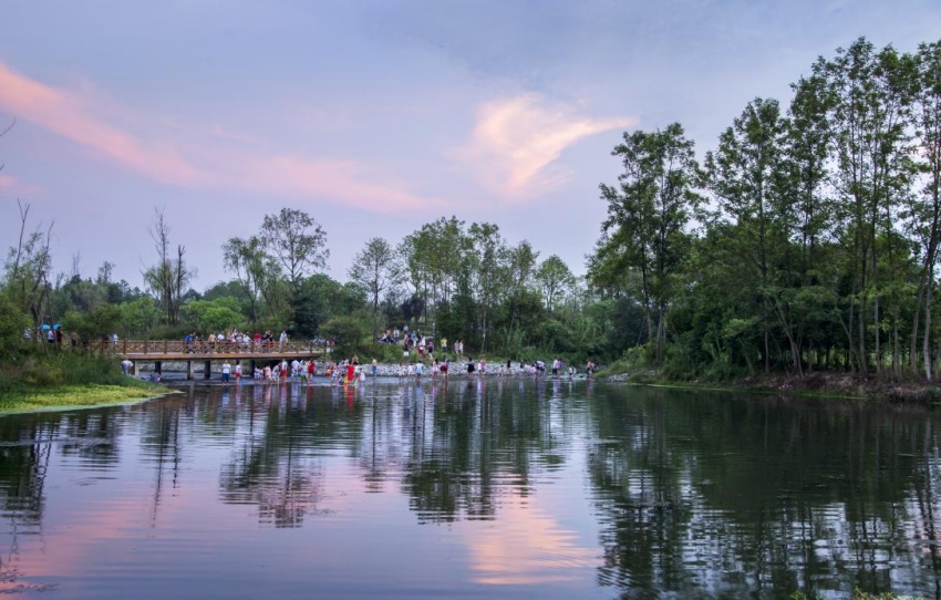 崇州白頭鎮五星村榿木河濕地公園。崇州市河長辦供圖