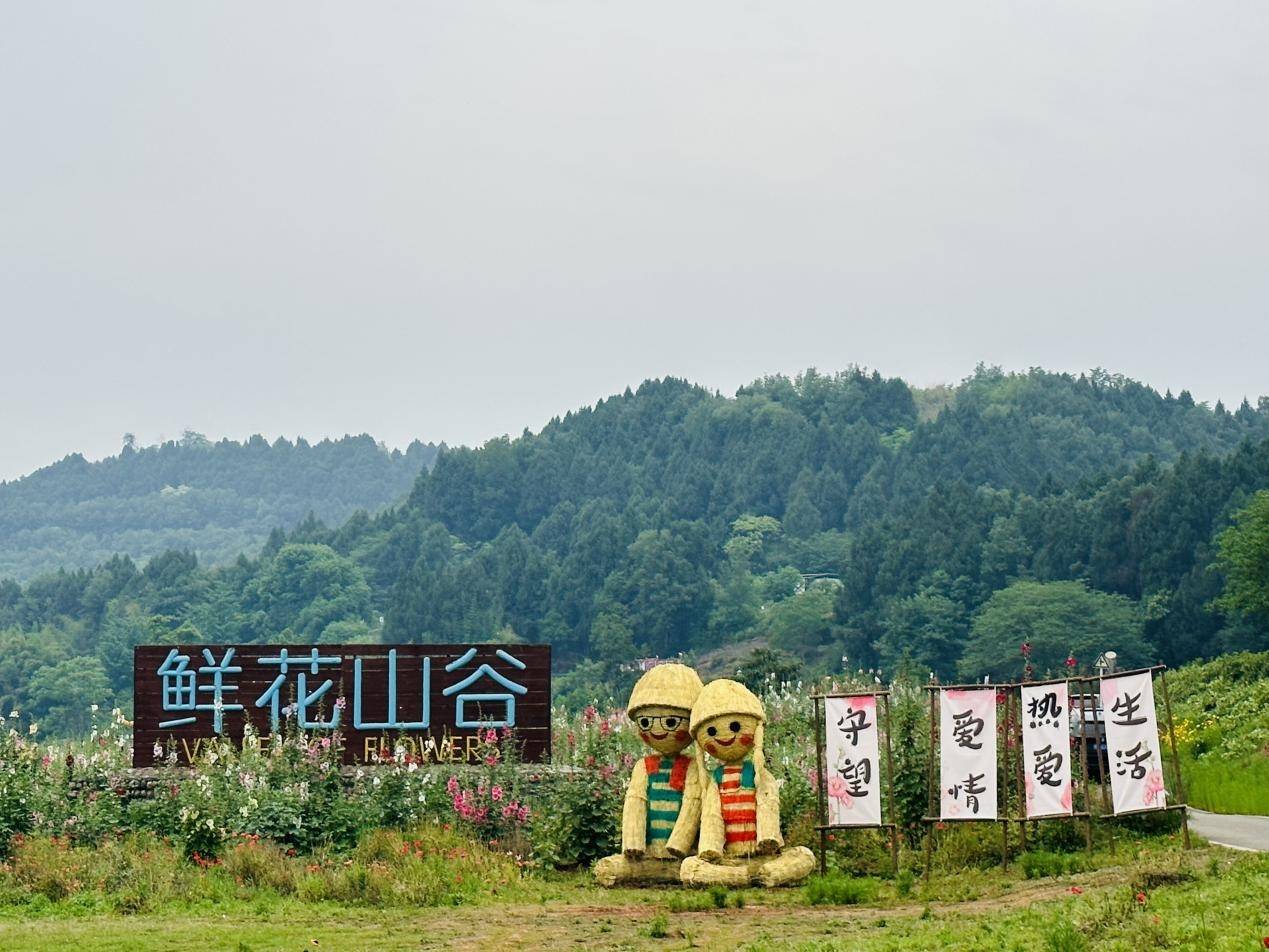 鲜花山谷景区。金堂县委宣传部供图