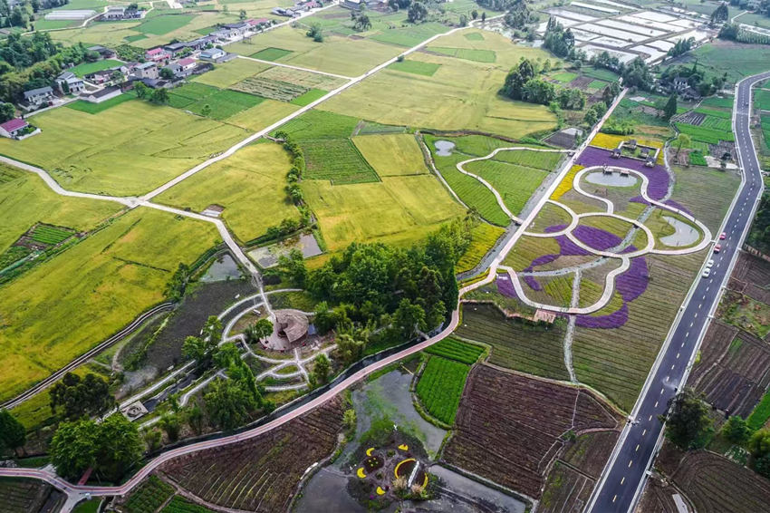 彭什川芎現代農業園區航拍。敖平鎮供圖