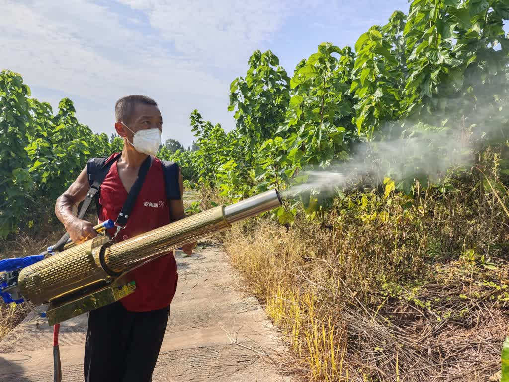 胡中荣忙着给邻居家的桑树施叶面肥。张凤莉摄