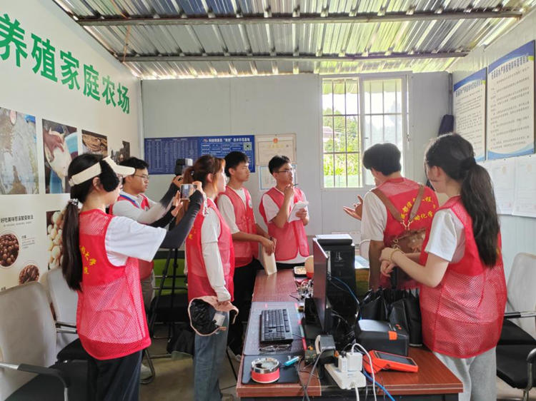 大学生开展暑期社会实践、普法三下乡等活动。张苗供图