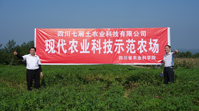 现代农业科技示范农场。徐振宇供图