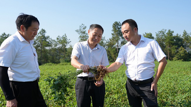 专家指导。荣县融媒供图