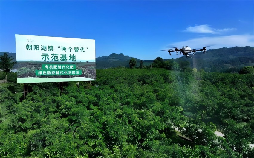 朝阳湖镇“两个替代”示范基地。蒲江县委宣传部供图