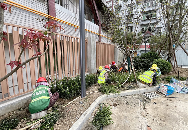 工人们正在对口袋公园栽种绿色植物。绵竹市融媒体中心供图