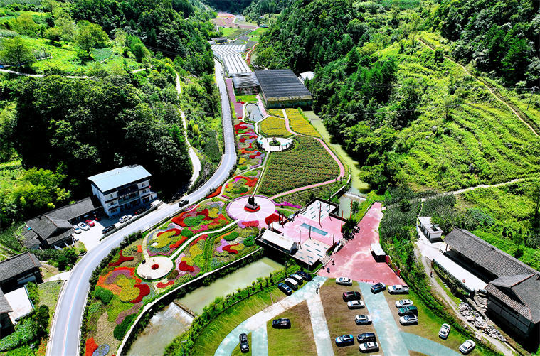 和美乡村新景。张敏供图
