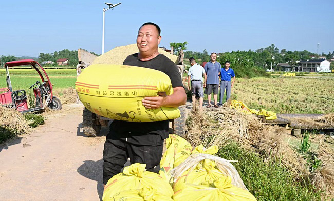 搬运稻子上车的郭长春。荣县融媒供图