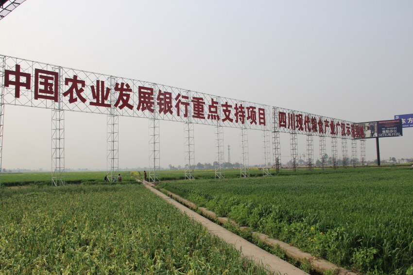 图为该行支持建设的四川广汉现代粮食产业基地。农发行四川省分行供图