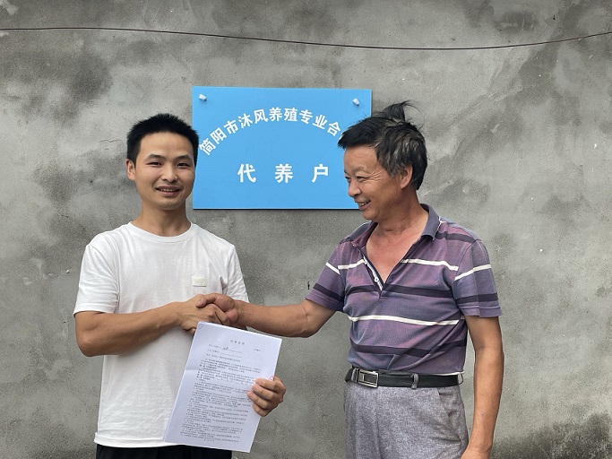 村集体与李勇合作探索“村集体经济+合作社+农户”的“代养”模式。简阳融媒体中心供图