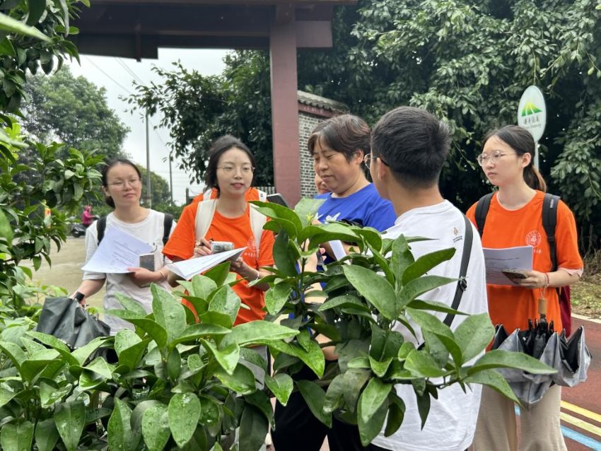 志愿团队收集蒲江病虫害发生情况。共青团成都市委供图