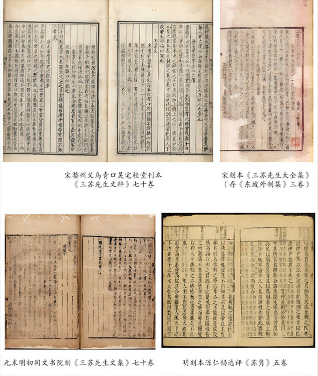 搜集到《三苏先生文集》的相关资料。主办方供图