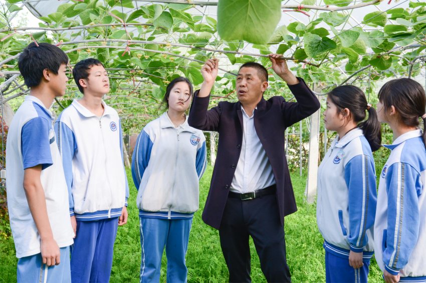 苍溪县职业高级中学组织猕猴桃实践活动。苍溪县职业高级中学供图