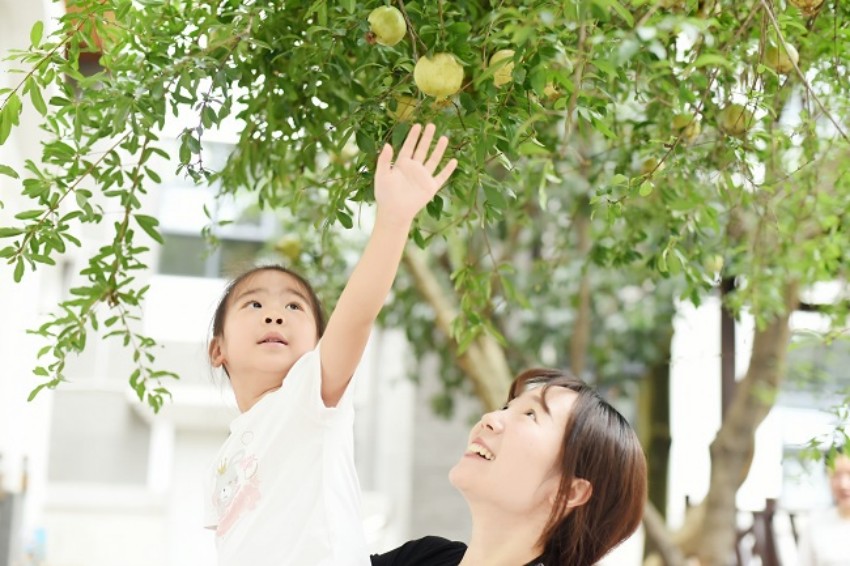 支持儿童成长。成都市金牛区机关第三幼儿园供图