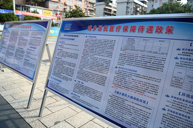 宣传展板。蒋兵供图