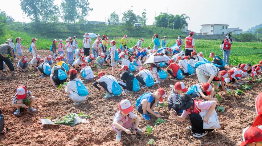 “乐学宜宾·筑梦家乡”劳动教育主题研学活动。宜宾市教育和体育局供图