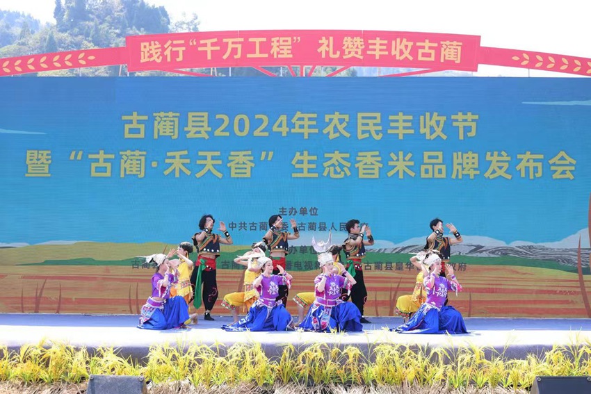 泸州古蔺县2024年中国农民丰收节在皇华镇“天府粮仓”示范园区开幕。李骁供图