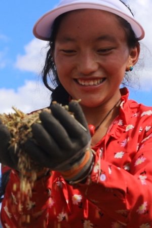 白玉县赠科乡下比沙村千亩青稞共富田园种植基地，村民手捧青稞满脸笑容。