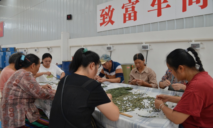 脱贫群众在致富车间里加工珠宝饰品。王晓林、周定美供图