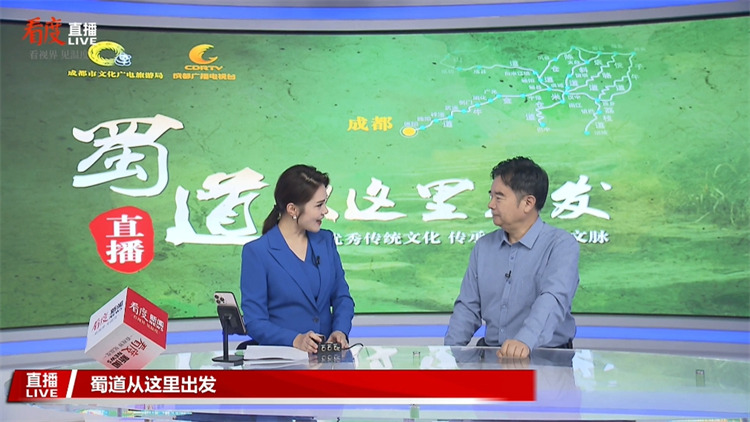 北京大学考古文博学院教授、博士生导师孙华在演播室分享观点。成都市文广旅局供图