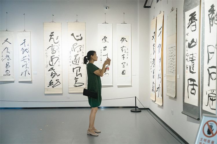 市民在李瓊久藝術館拍下好的參展作品。楊丹供圖