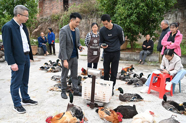 直播賣“土貨”現場。蔣兵供圖