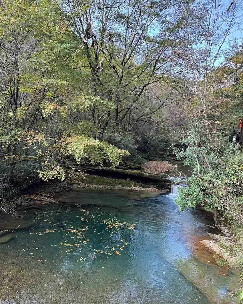 光雾山一景。红星新闻网供图