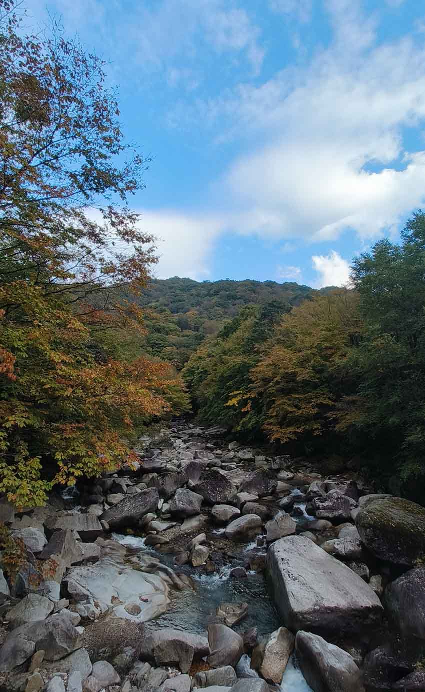 光雾山一景。红星新闻网供图