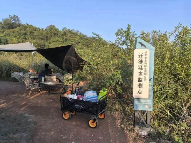 成都龍泉山城市森林公園的遷徙猛禽監測點。董雪晏攝