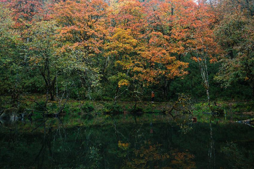 杜鹃栈道。二郎山喇叭河景区供图