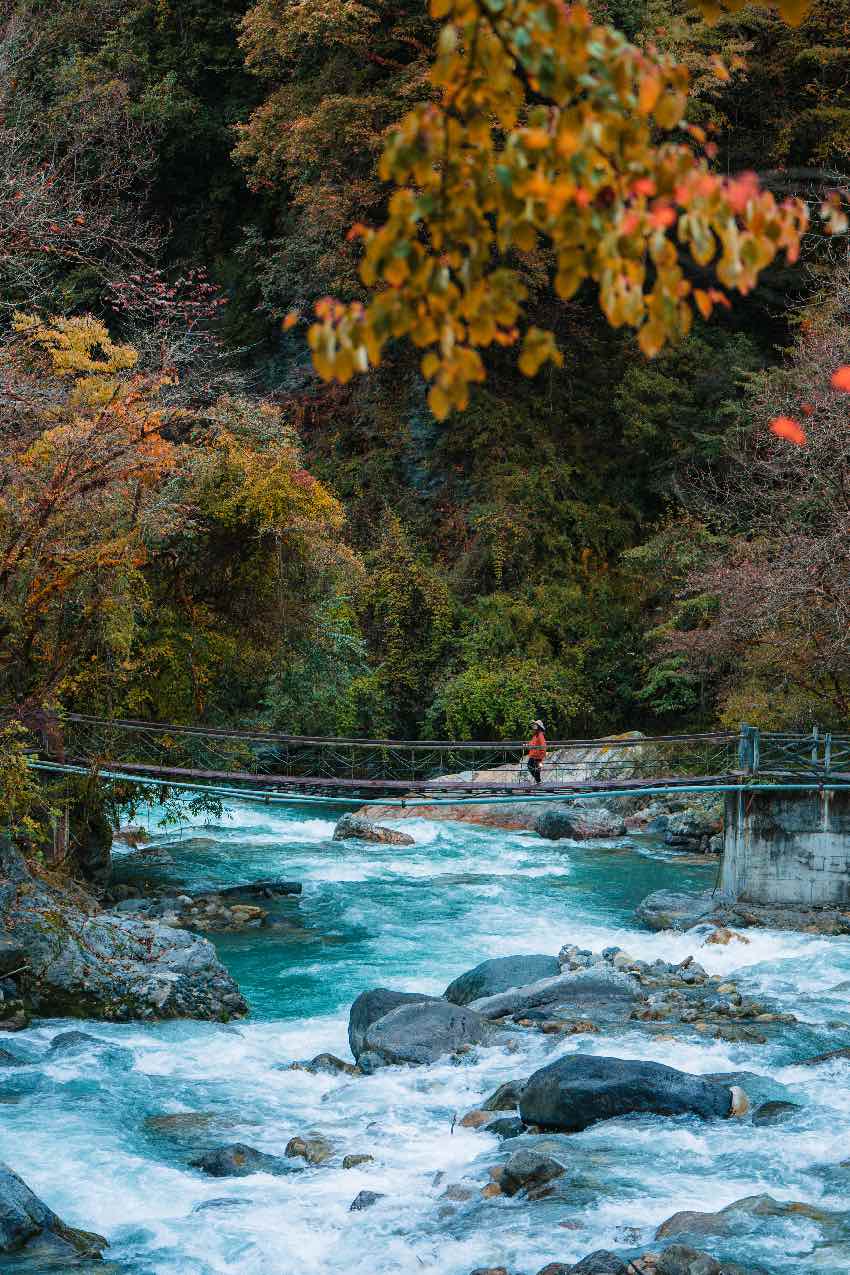 珙桐山居。二郎山喇叭河景區供圖