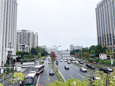 羊犀立交出城輔道隻有一條機動車道，高峰期時車流密集而緩慢