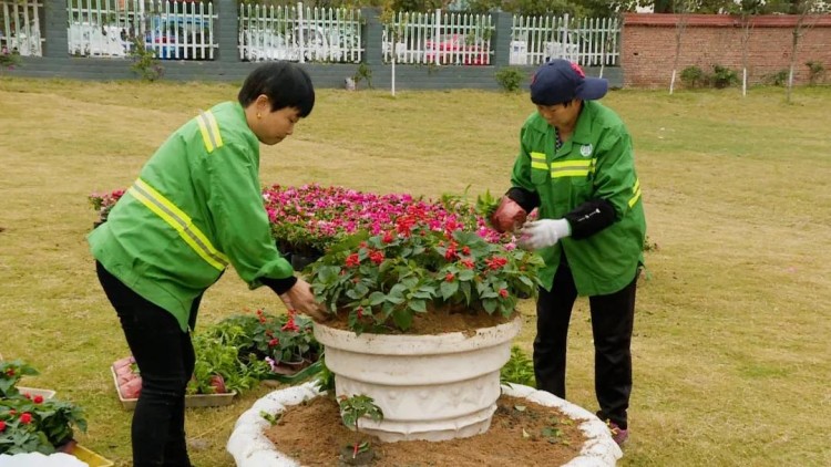 花卉美化提升城市“颜值”。阳林玥供图